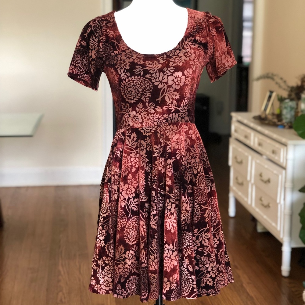 Urban Outfitters Rust  Velvet Burnout Dress